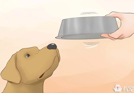 狗狗突然喝水量激增也是疾病的征兆吗？