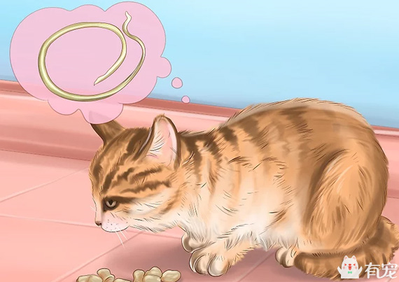 怎样识别和预防猫蛔虫？
