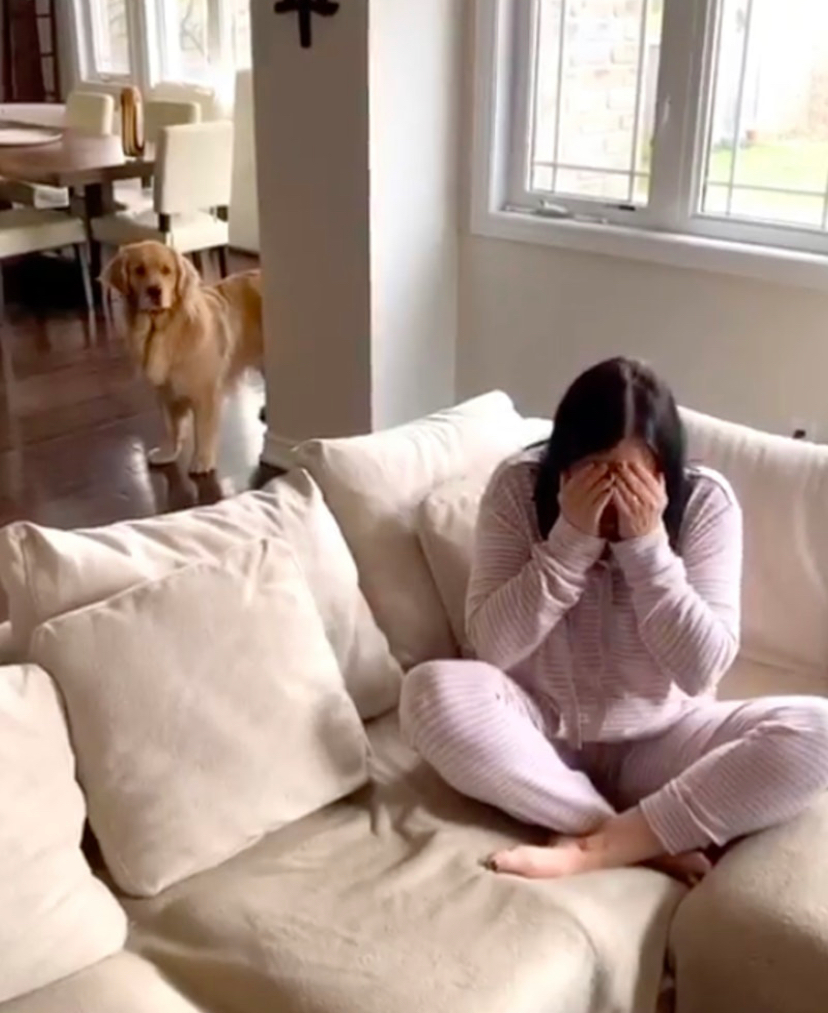 网友假哭检测狗狗，没想到狗狗的举动让她确实哭了
