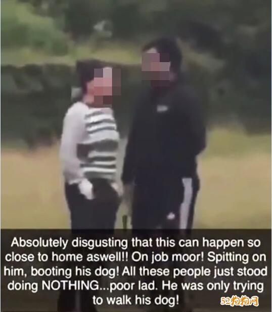 美国女子向亚洲人吐口水踢宠物狗！因种族歧视被逮捕！