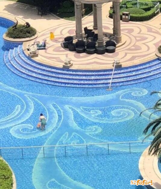 杭州市租户带狗在业主公共性泳游池玩耍！业主规定赔换水消毒！