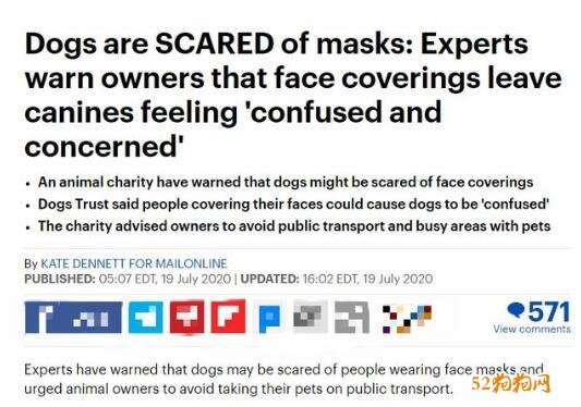 太有“爱心”了！美国专家说口罩会吓坏着狗狗、留意狗狗内心阴影！