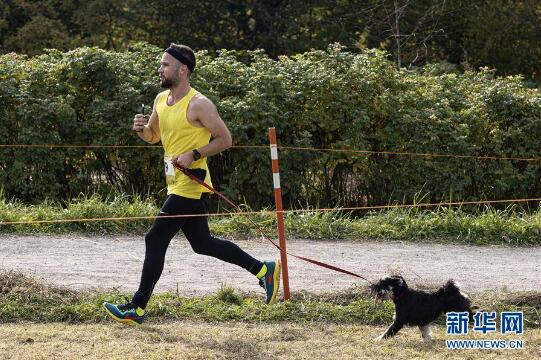 与狗狗一起赛跑、带宠物狗赛跑活动在莫斯科市一森林公园举办！